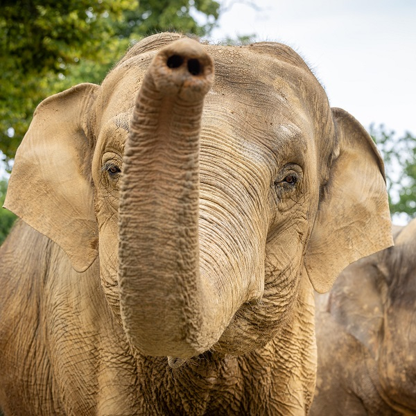 Exklusive Führungen